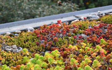 the cost of Handley green roof installation