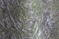 Handley fibreglass roof work